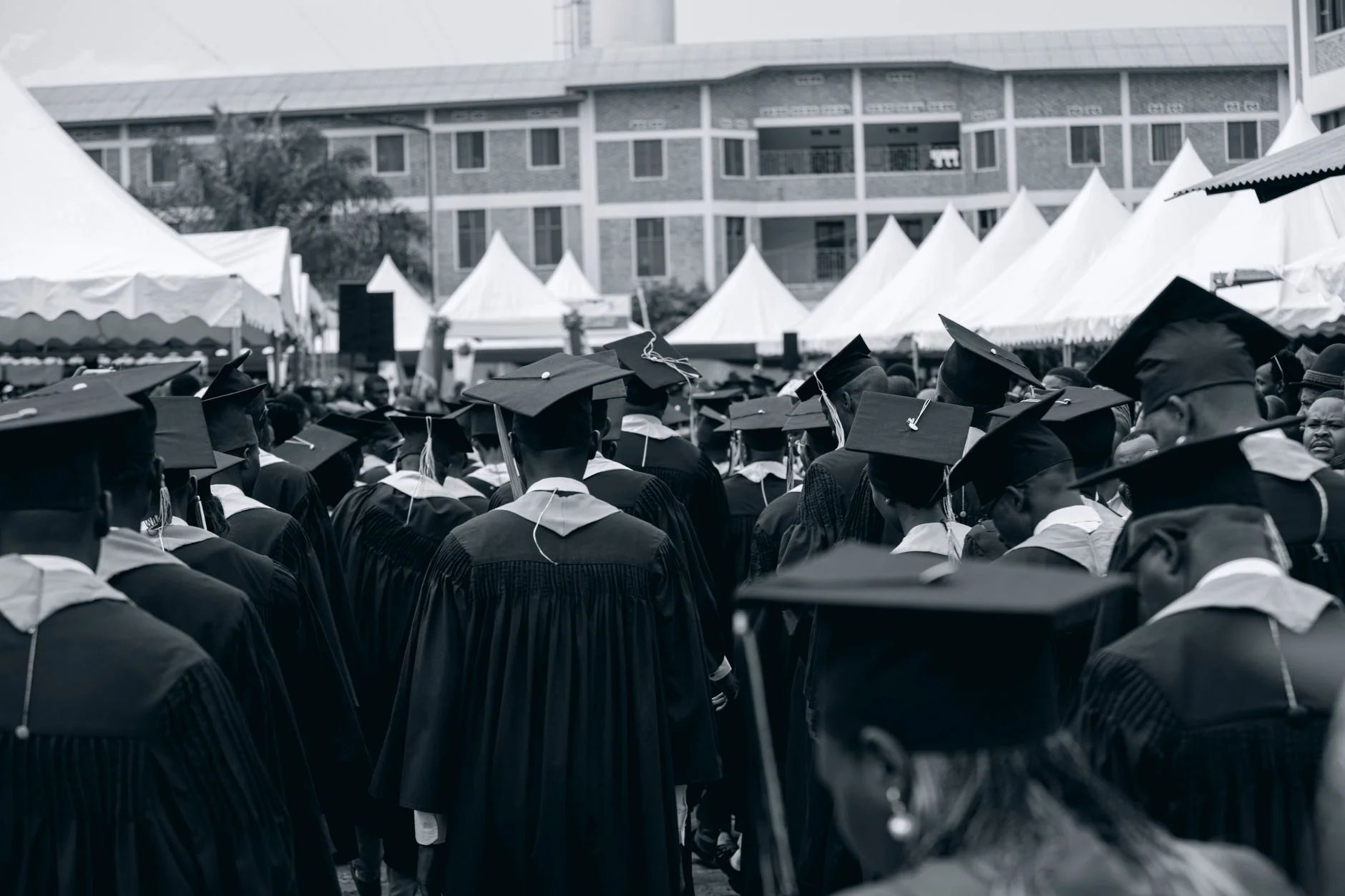 The AI Market Is Booming, CS Grads Face Gaps