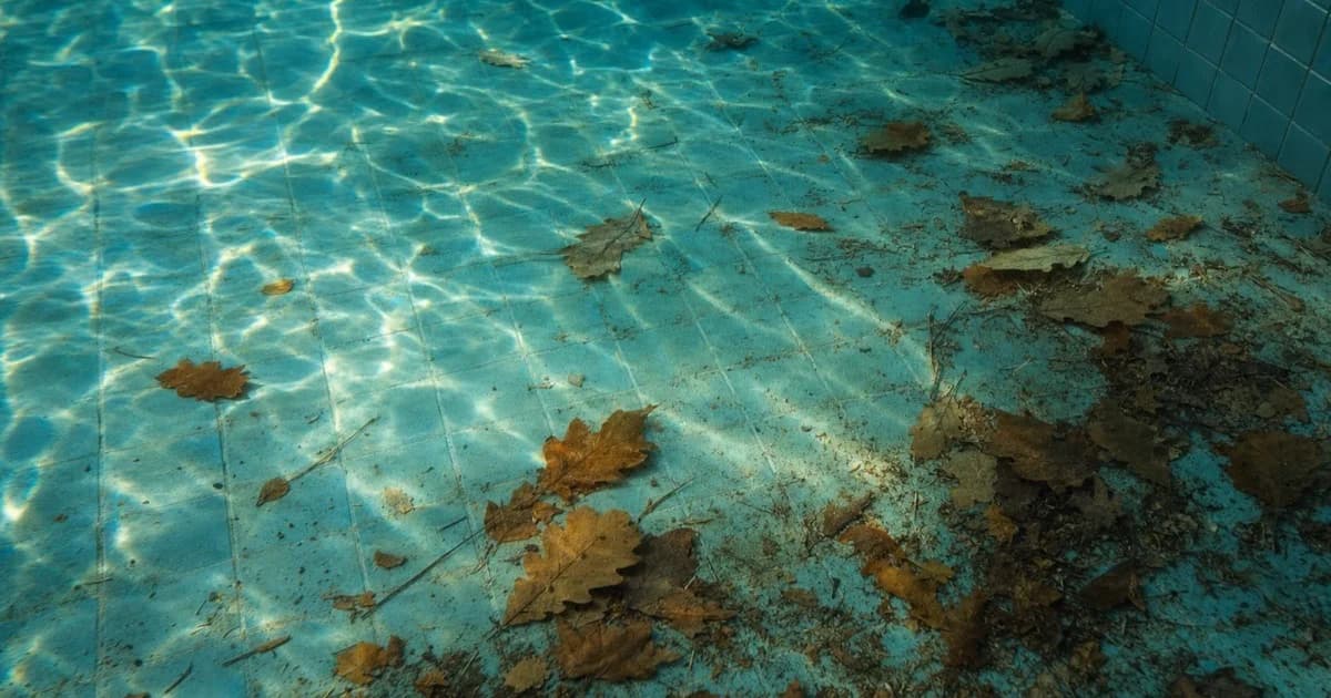 The Floor Nobody Looks At Before Closing the Pool
