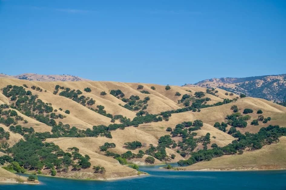 California SB-53 Frontier AI Act (AI regulation) Explained